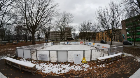 Photo of Ice Rink by Lansing State Journal